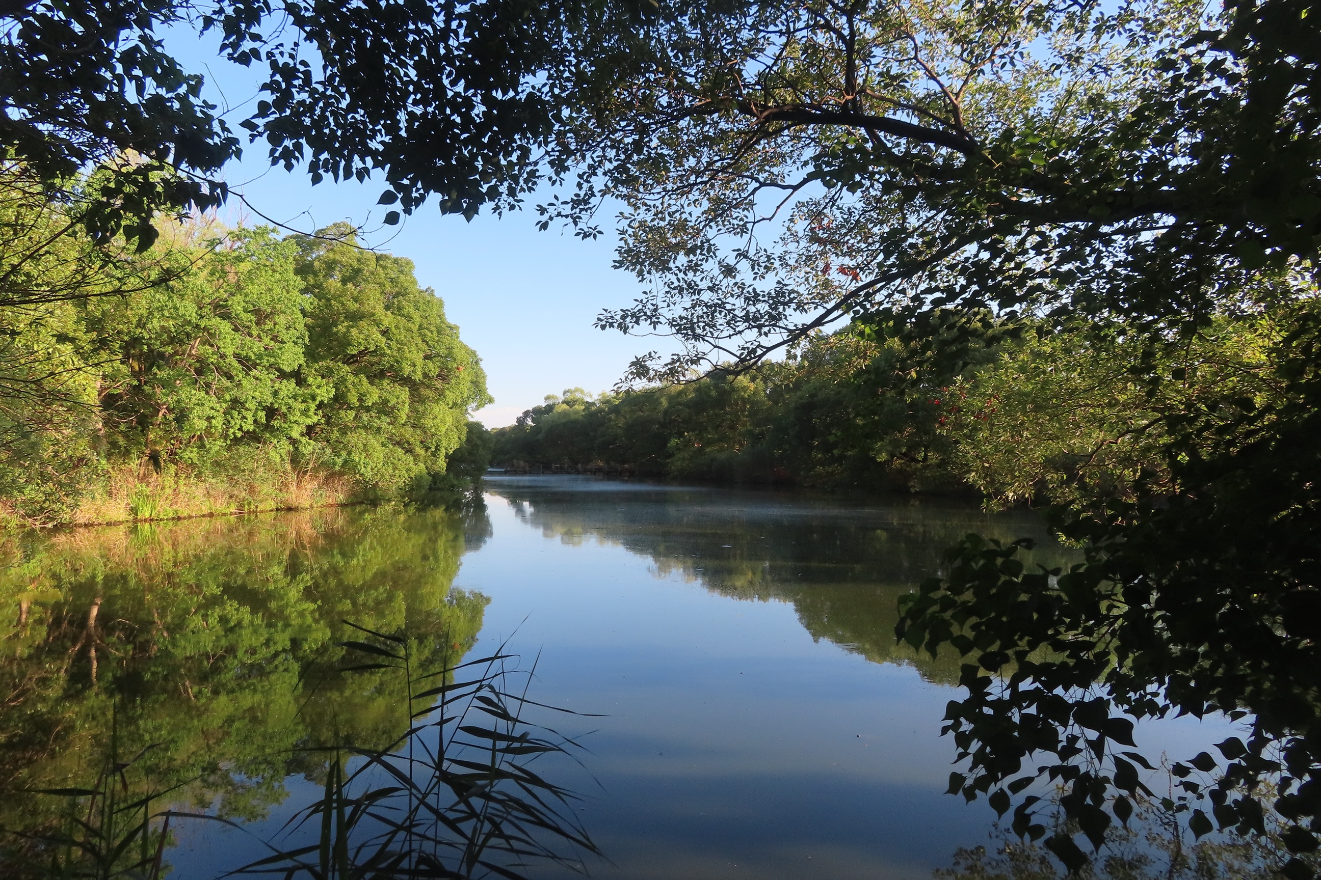 美しい地球の自然風景